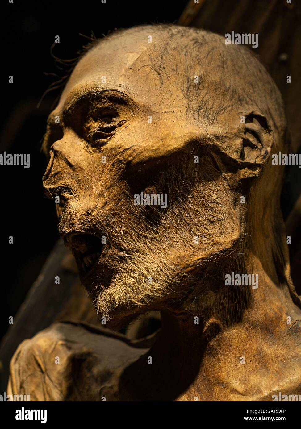 Le Mummie del Museo Guanajuato aka Museo de Las Momias a Guanajuato, Messico. Foto Stock