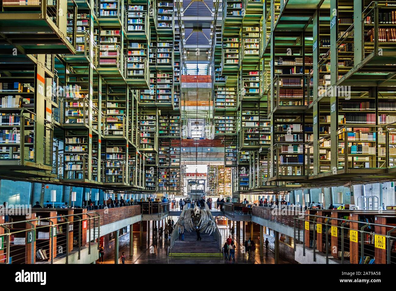 Vista degli interni del punto di riferimento architettonico della Biblioteca Vasconcelos (Biblioteca Vasconcelos) a Città del Messico, Messico. Foto Stock