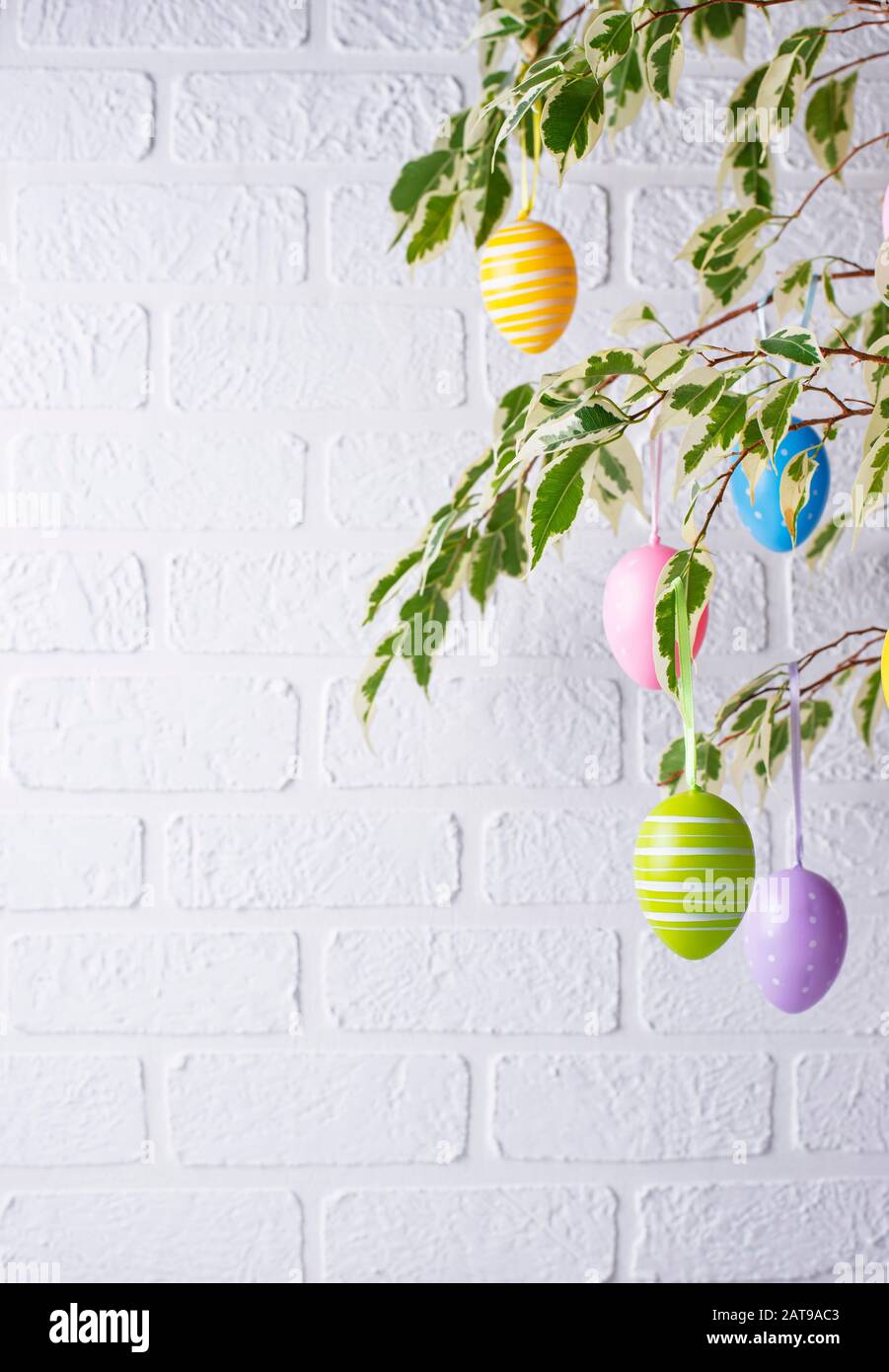 Tradizionale albero di Pasqua con uova Foto Stock