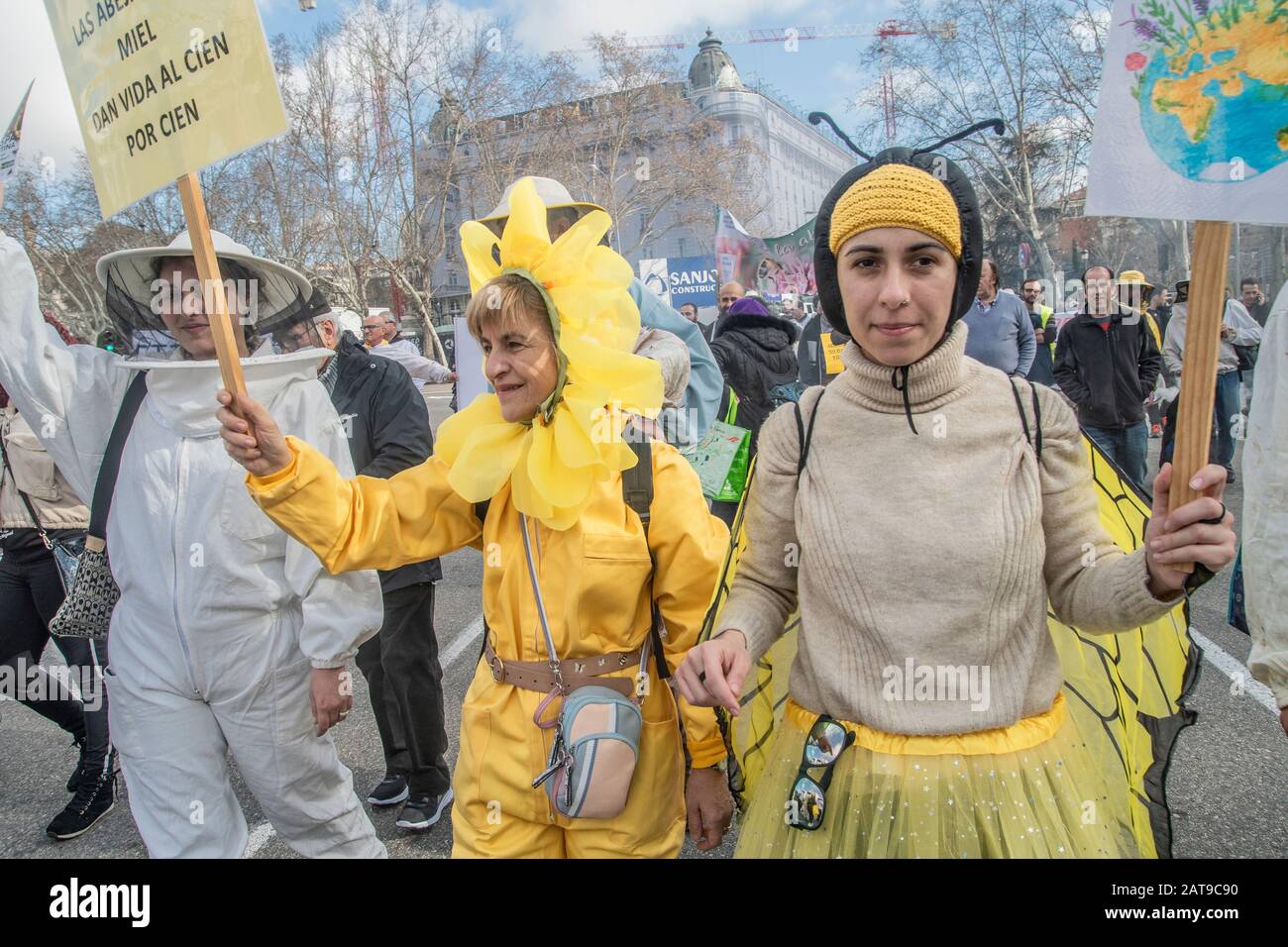 Centinaia di persone a Madrid si uniscono a una manifestazione che si batte per la sopravvivenza delle api in Spagna. Girato il 31 gennaio, gli attivisti sono visti indossare ape Foto Stock