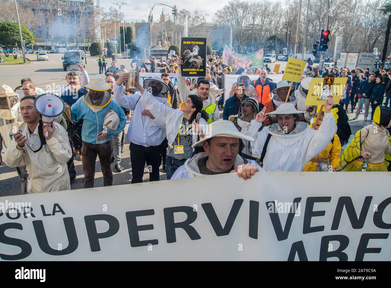 Centinaia di persone a Madrid si uniscono a una manifestazione che si batte per la sopravvivenza delle api in Spagna. Girato il 31 gennaio, gli attivisti sono visti indossare ape Foto Stock