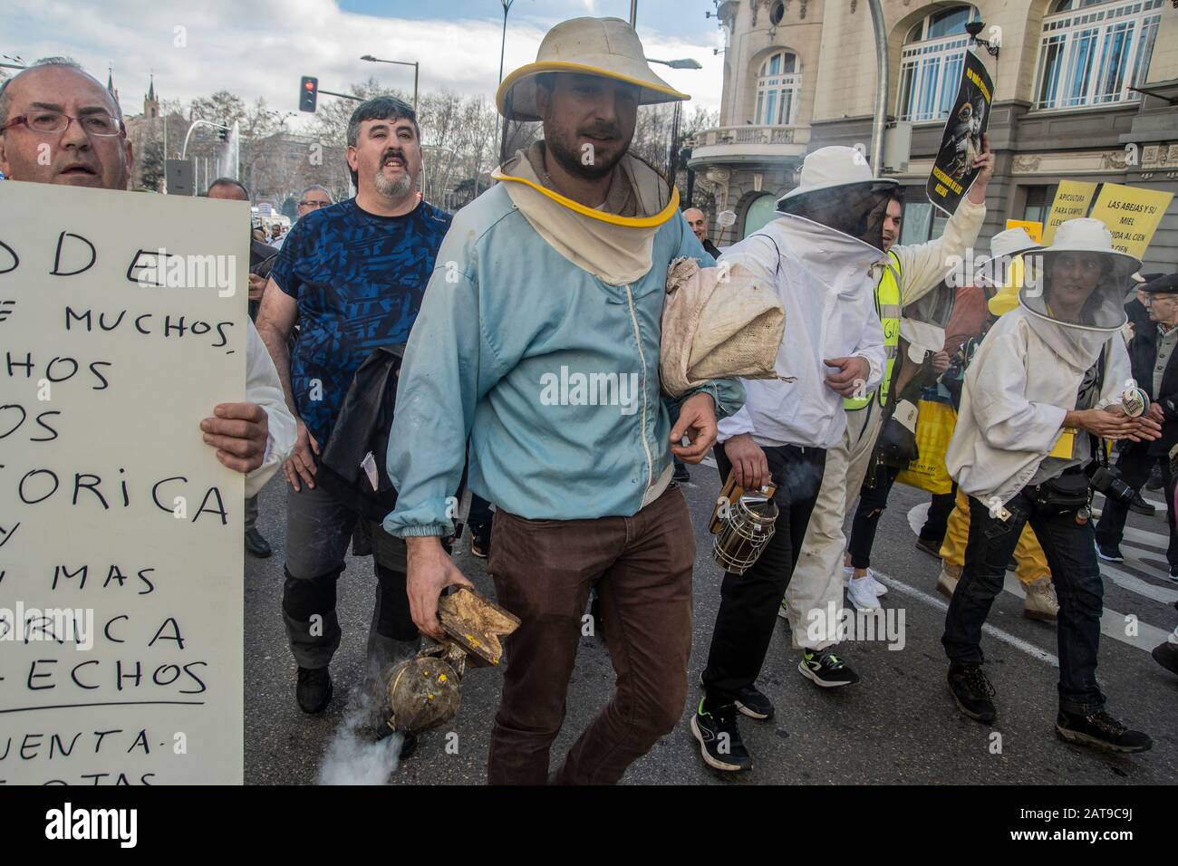 Centinaia di persone a Madrid si uniscono a una manifestazione che si batte per la sopravvivenza delle api in Spagna. Girato il 31 gennaio, gli attivisti sono visti indossare ape Foto Stock