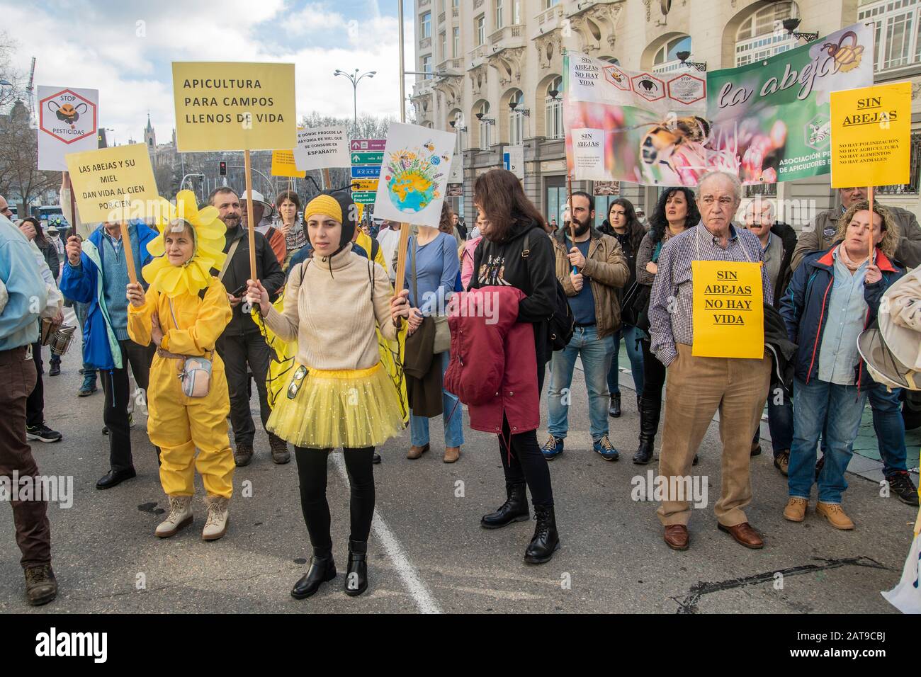 Centinaia di persone a Madrid si uniscono a una manifestazione che si batte per la sopravvivenza delle api in Spagna. Girato il 31 gennaio, gli attivisti sono visti indossare ape Foto Stock