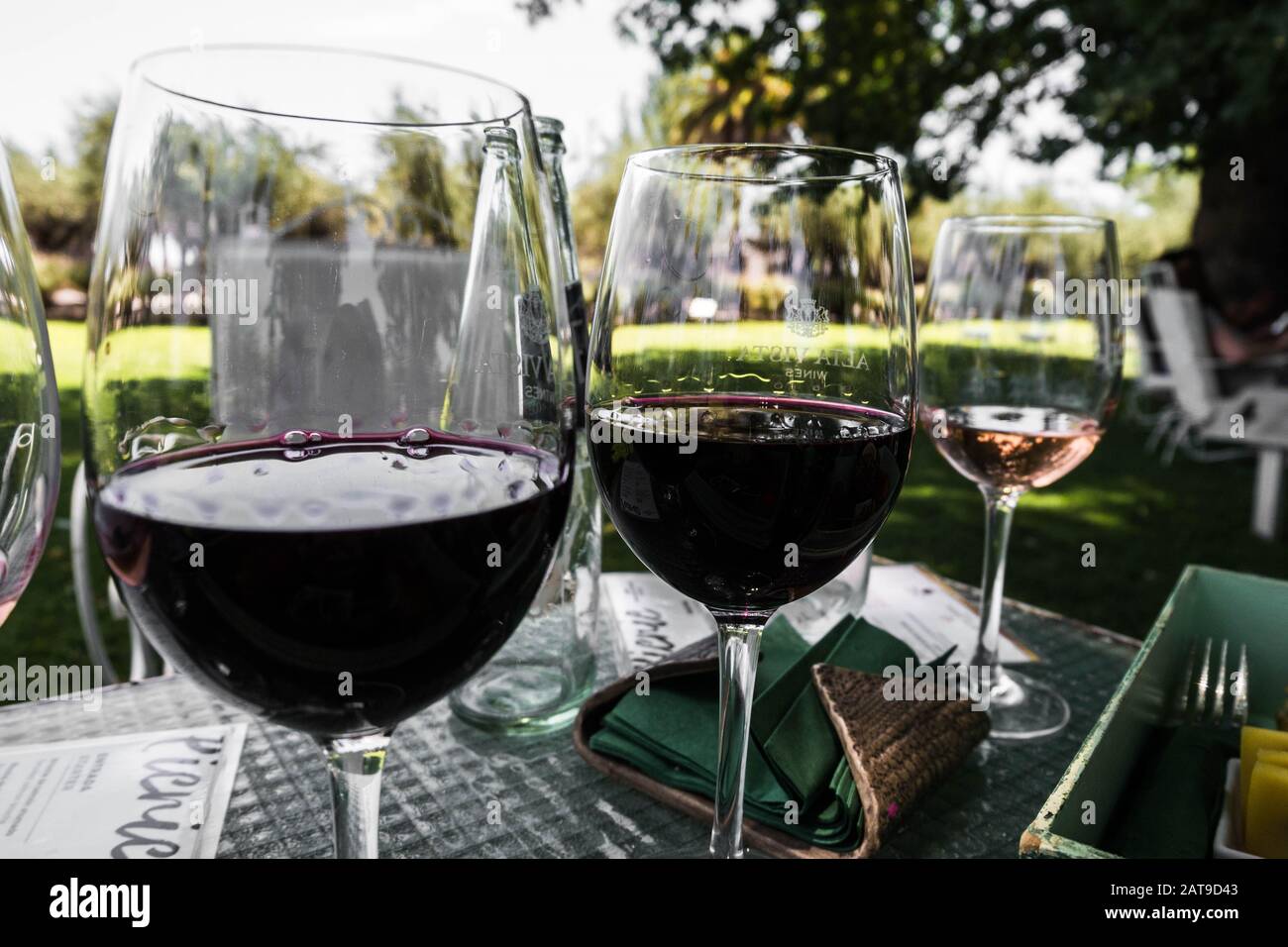 Bicchieri da vino con un tavolo da picnic e alberi sullo sfondo Foto Stock