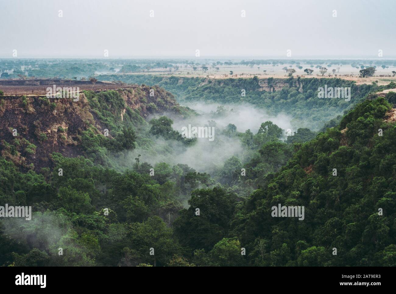 Kyambura Gorge Nel Parco Nazionale Della Regina Elisabetta, Una Foggy Rainforest Valley, Valle Di Apes In Uganda, Africa Foto Stock