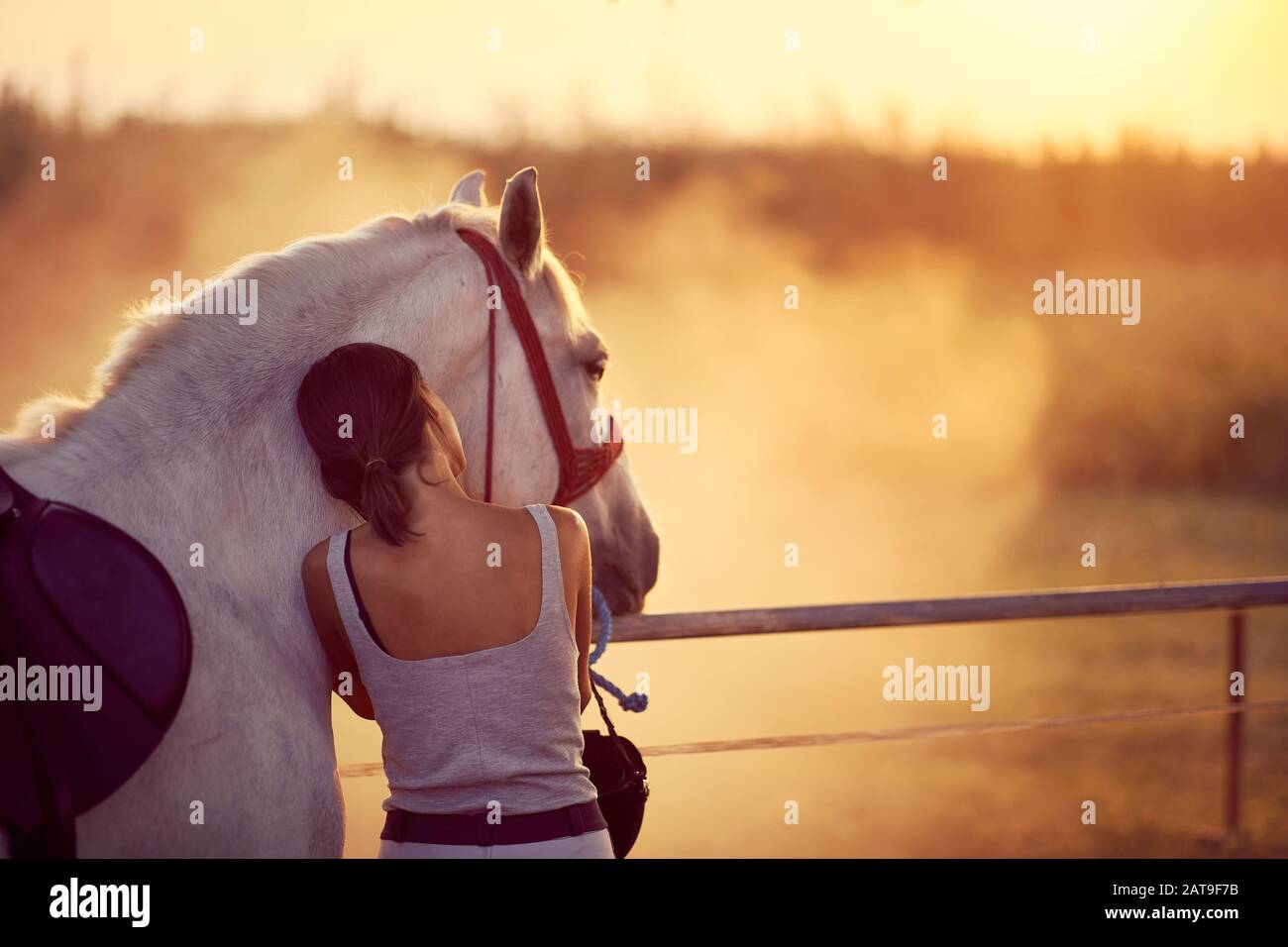 Donna riposa la testa su un cavallo, guardando in lontananza. Divertimento in campagna, ora d'oro del tramonto. Libertà natura concetto. Foto Stock