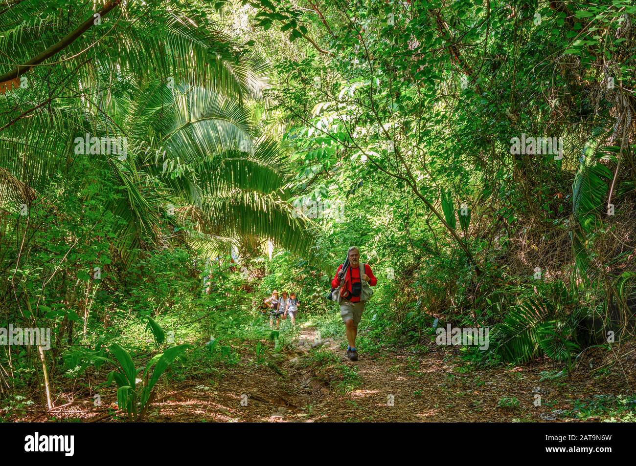 Escursionisti in sentiero per Cerro Majaguas con Xplore Messico; lo de Marcos, Riviera Nayarit, Messico. Foto Stock