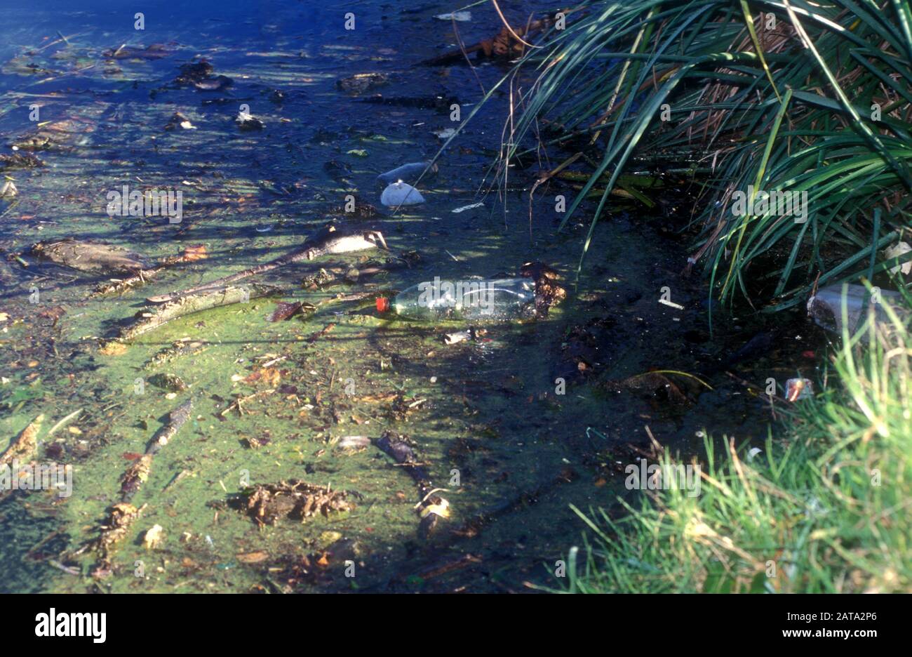 CANALE INQUINATO, SYDNEY, NUOVO GALLES DEL SUD, AUSTRALIA Foto Stock
