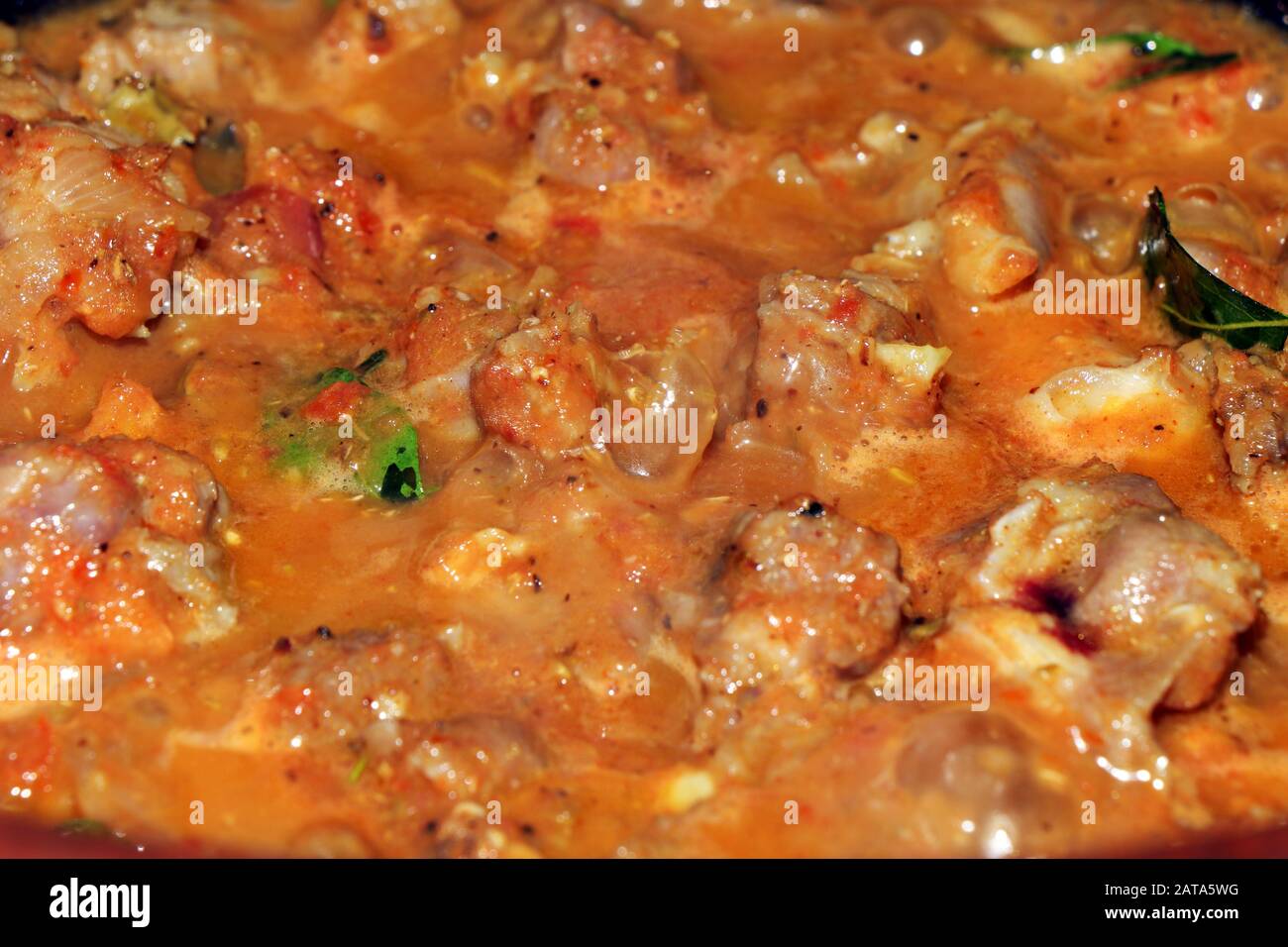 Tradizionale indiano Piccante mutton curry Foto Stock