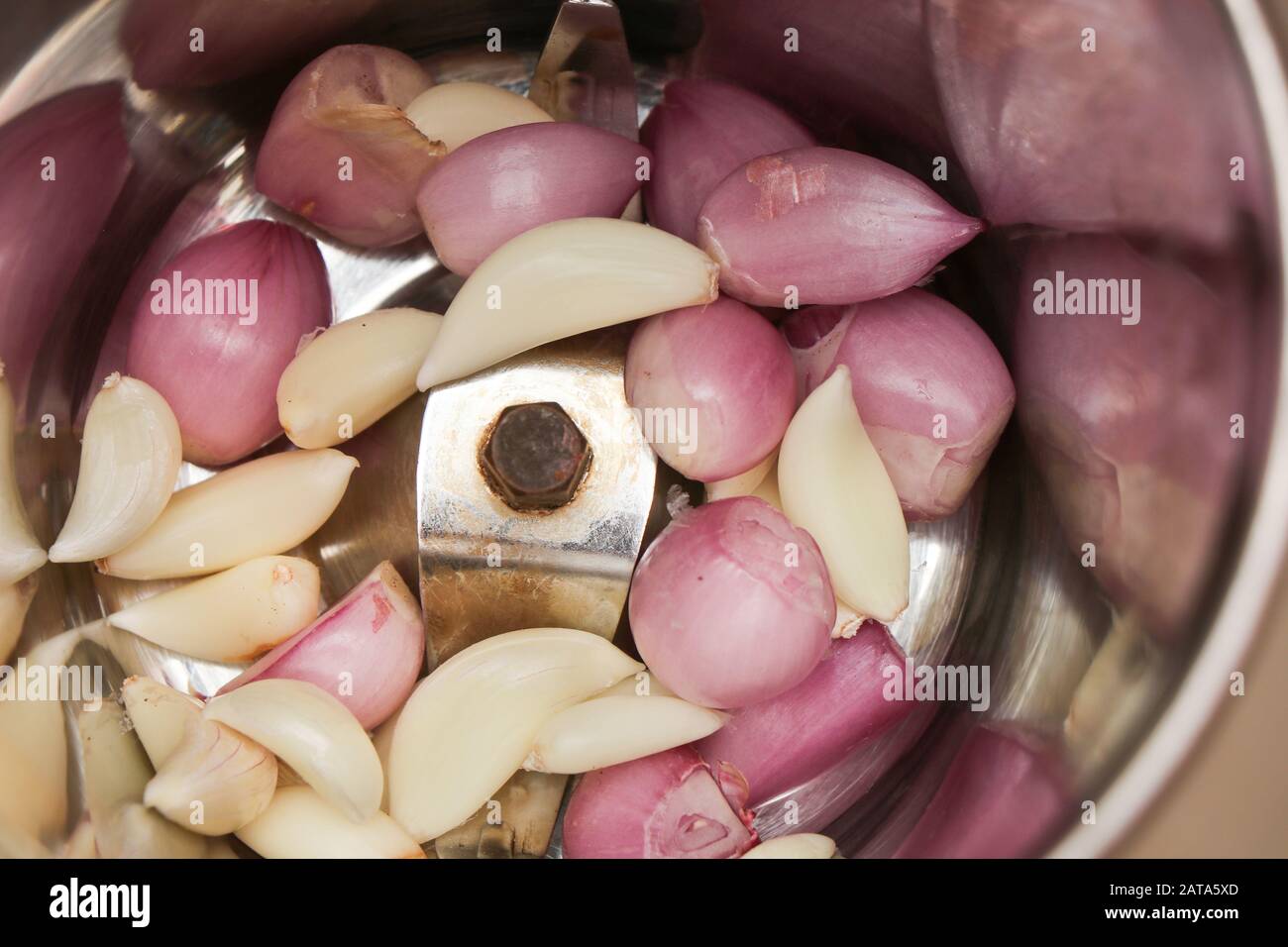 Aglio e cipolla piccola nel Recipiente del mixer Foto Stock