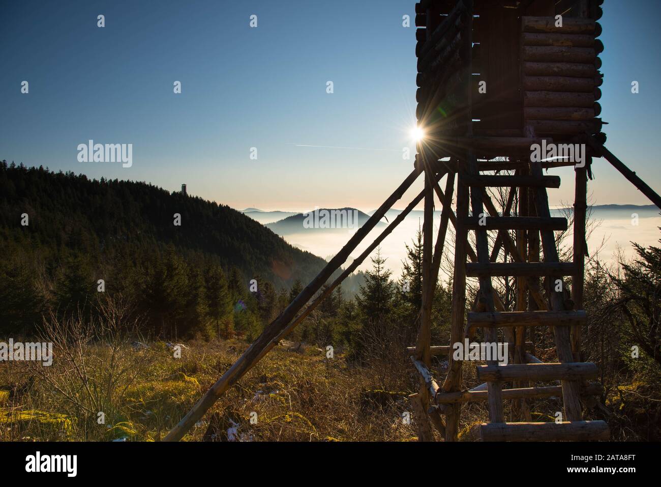 La torre Buchkopf nelle alture della foresta nera in germania Foto Stock