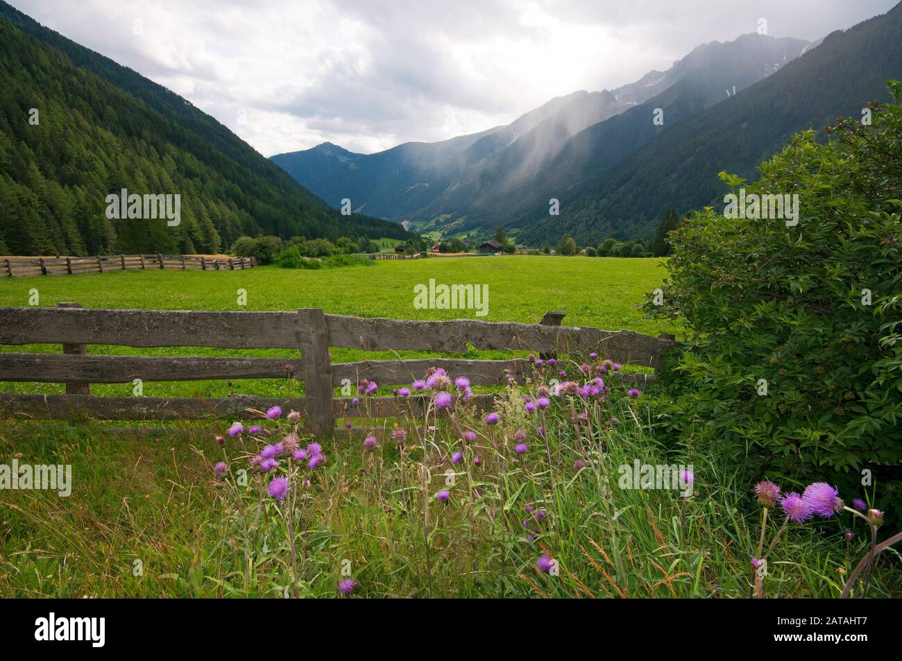 Valle Anterselva (Anterselva), Osttirol, Trentino Alto Adige, Italia Foto Stock