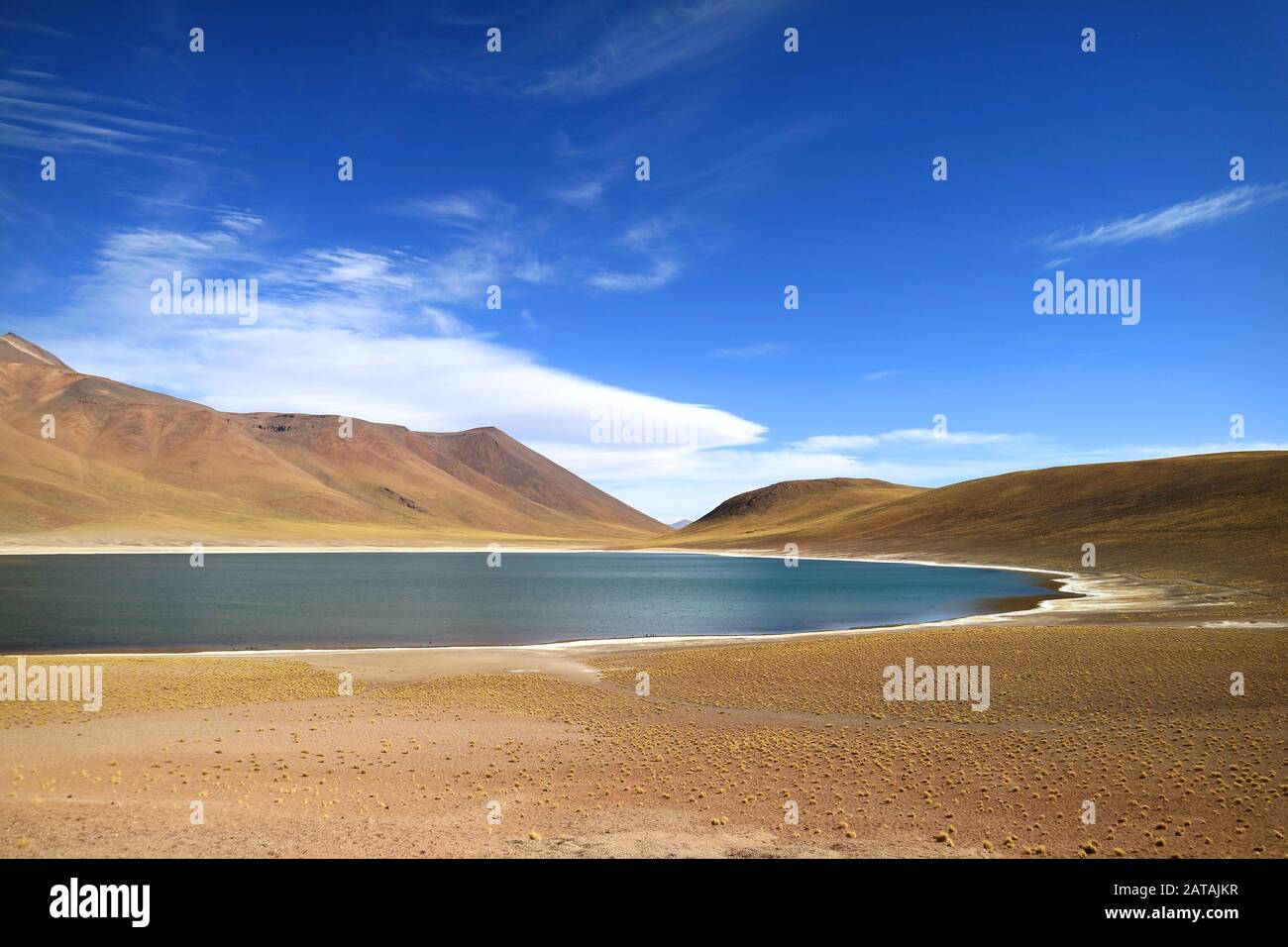 Laguna Miniques, una splendida laguna blu sull'altiplano della regione di Antofagasta, nel Cile settentrionale Foto Stock