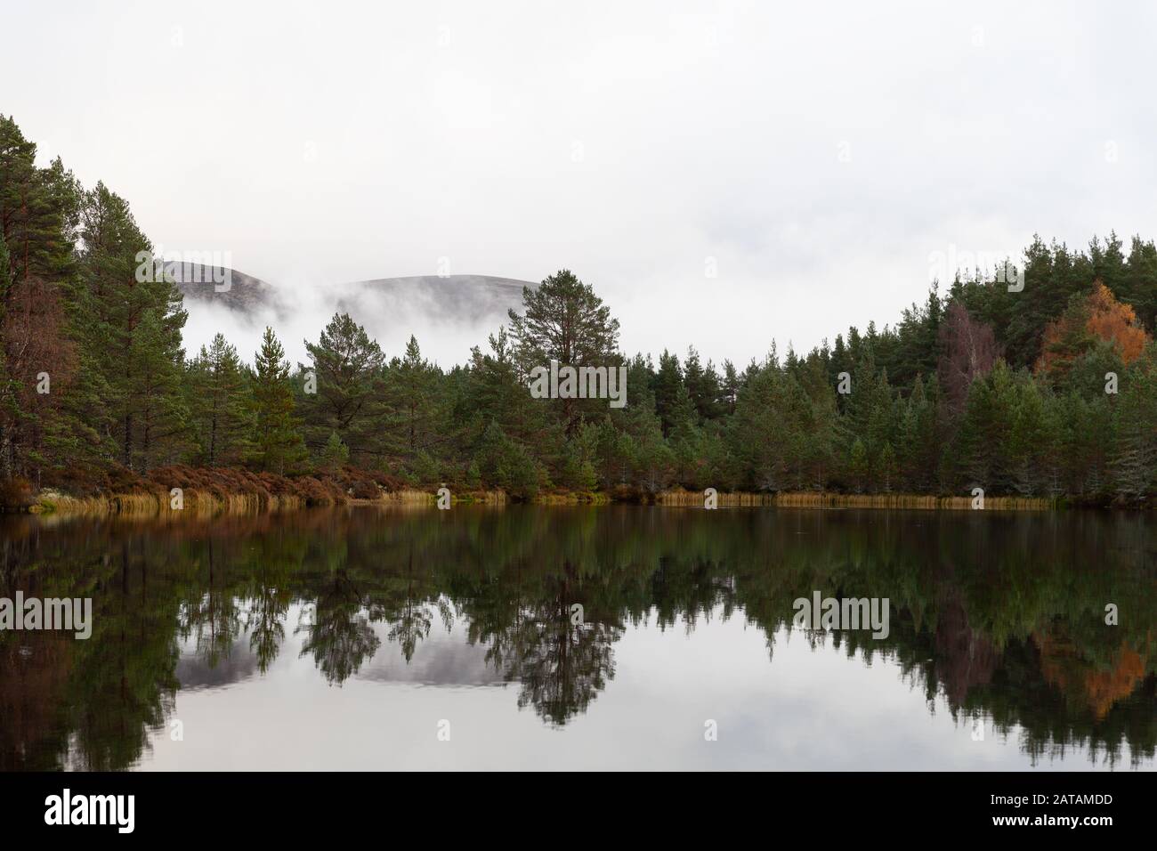 Cairngorms National Park: Uath Lochan in autunno, Kincraig, Scozia, Regno Unito Foto Stock