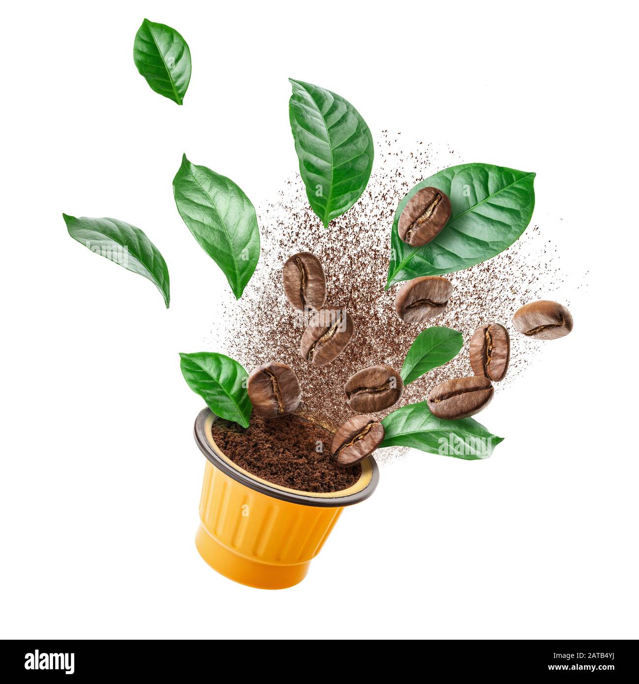 Vista esplosa del macinacaffè con chicchi tostati e foglie Foto Stock