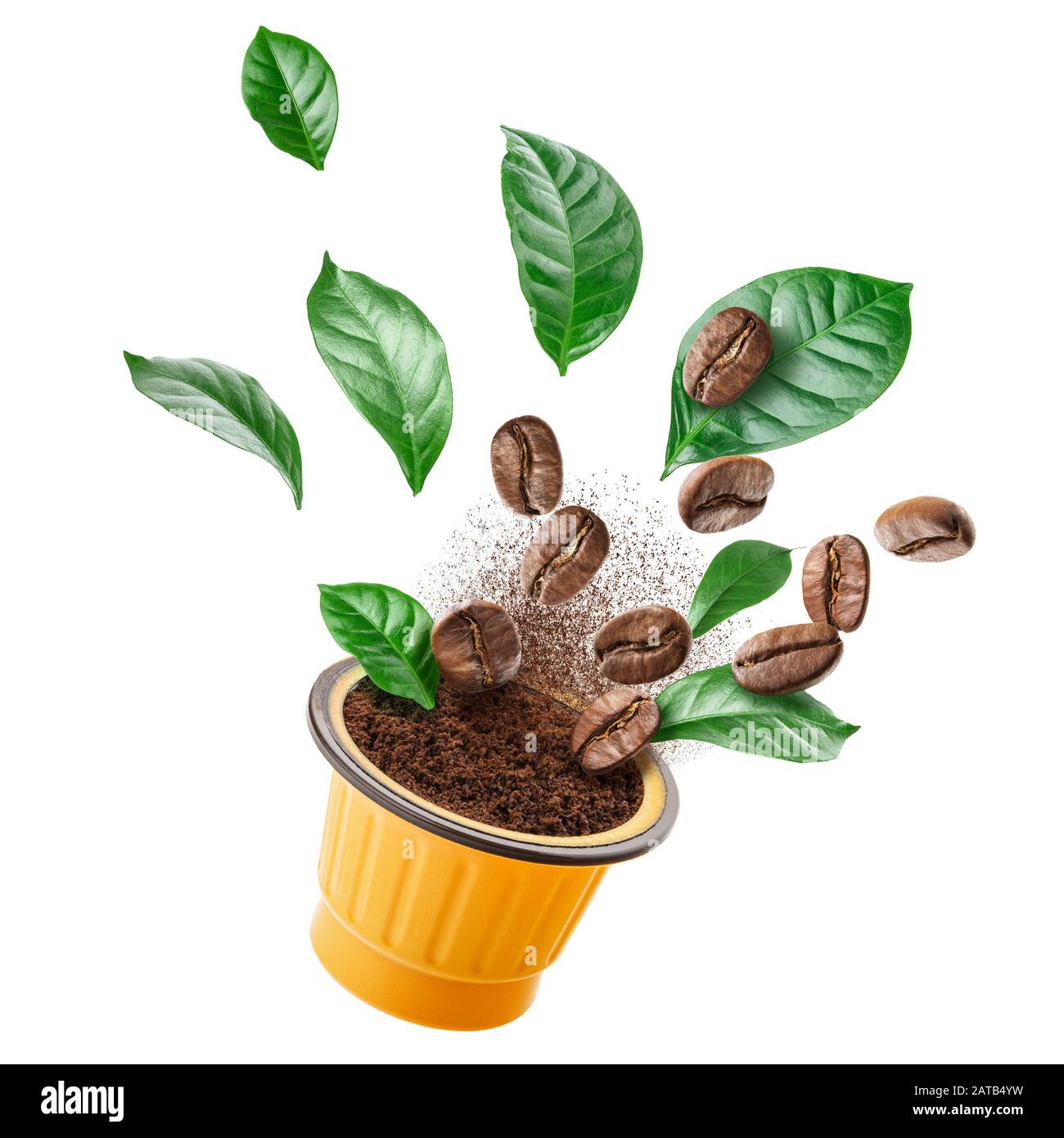 Vista esplosa del macinacaffè con chicchi tostati e foglie Foto Stock