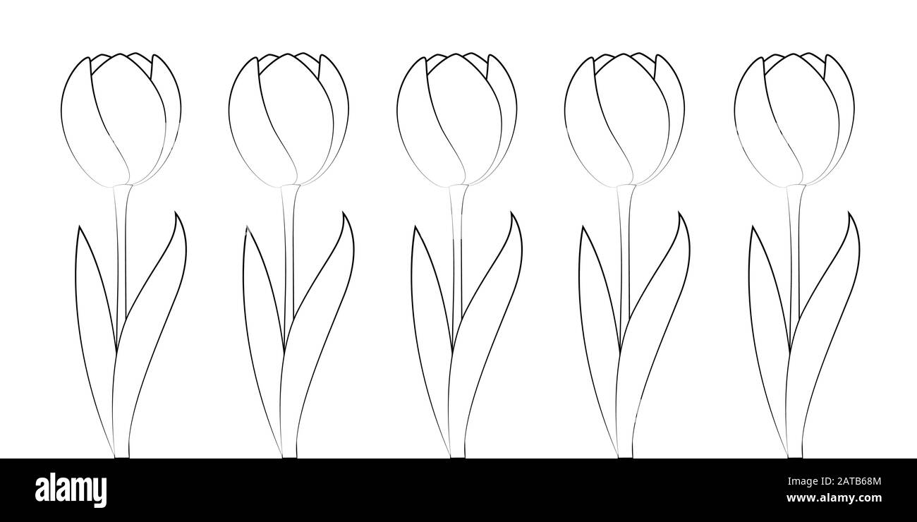 Set di tulipani per libro da colorare isolato su sfondo bianco immagine vettoriale EPS10 Illustrazione Vettoriale