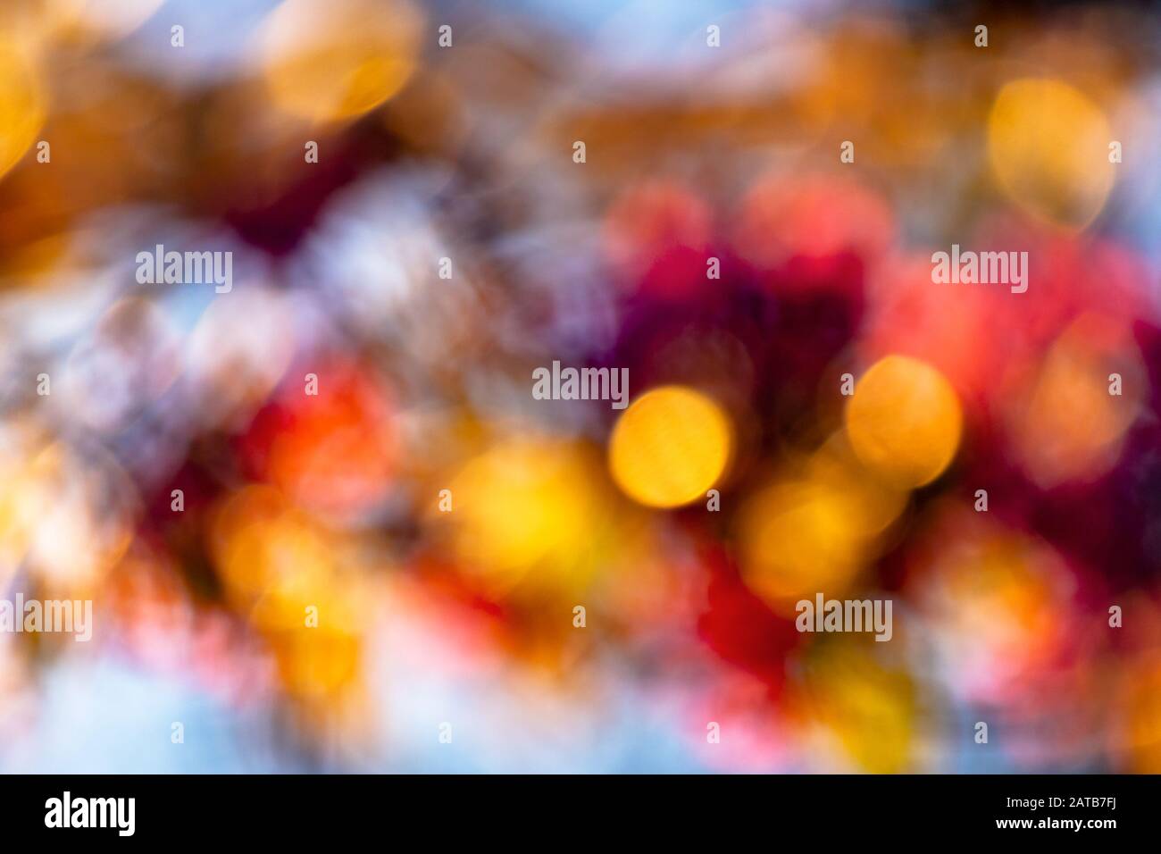 Natura astratta blur. bokeh di fiori e fogliame in primavera. luminoso sfondo retroilluminato Foto Stock