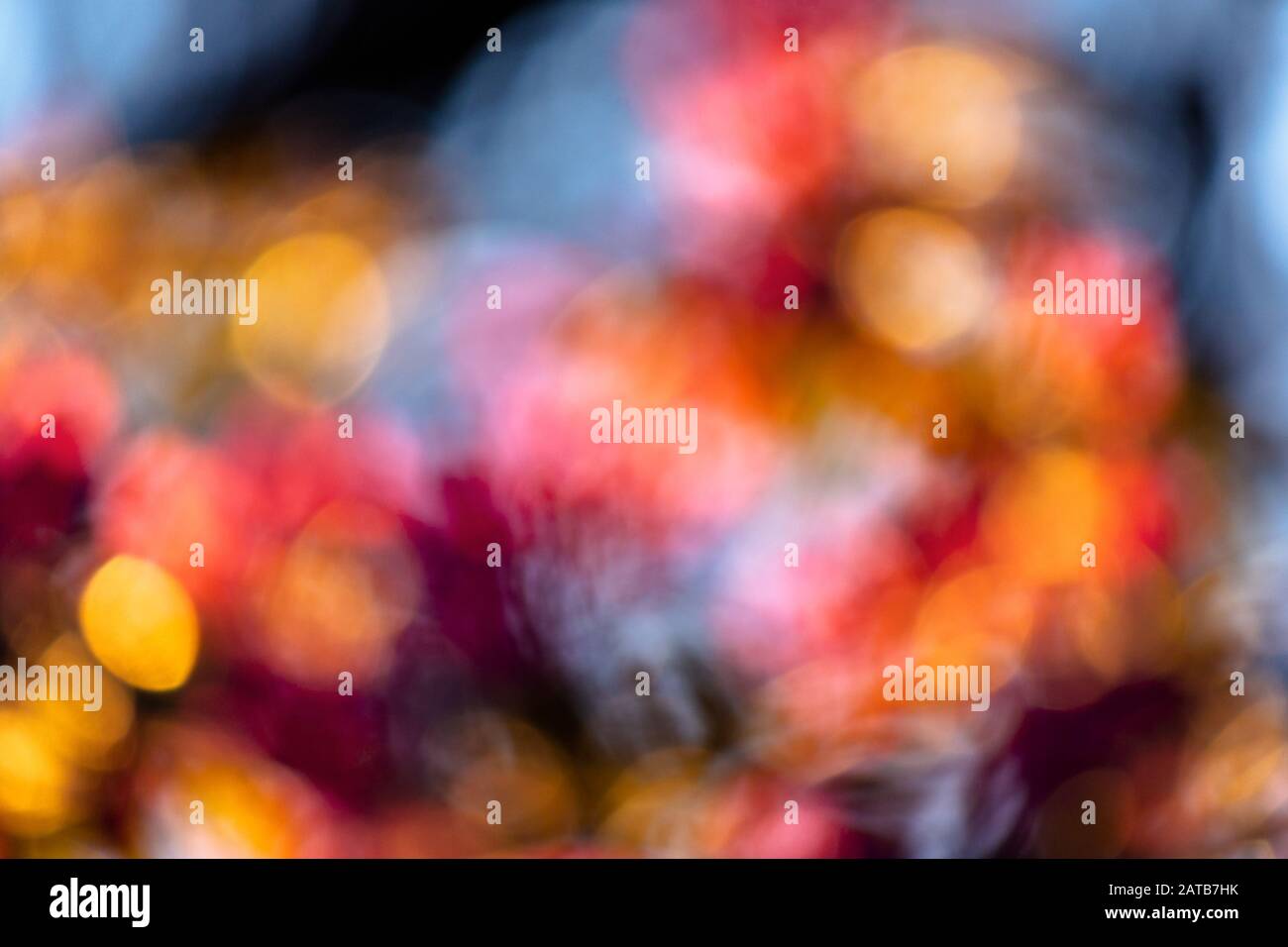 Natura astratta blur. bokeh di fiori e fogliame in presenza di luce solare. luminoso sfondo retroilluminato Foto Stock