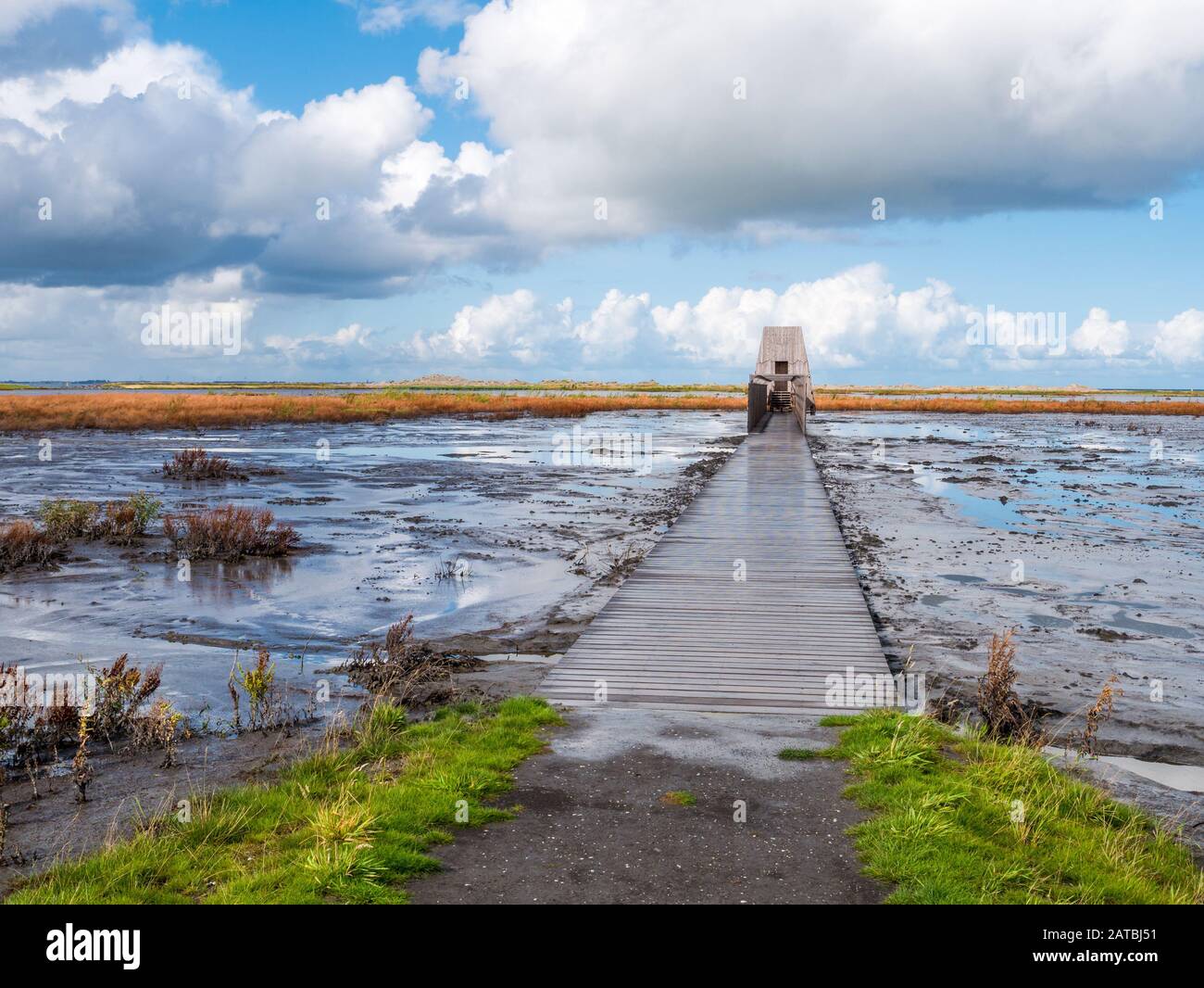 Il Boardwalk percorso che conduce a bird nascondere sull isola di Wadden Marker in Markermeer, Paesi Bassi Foto Stock