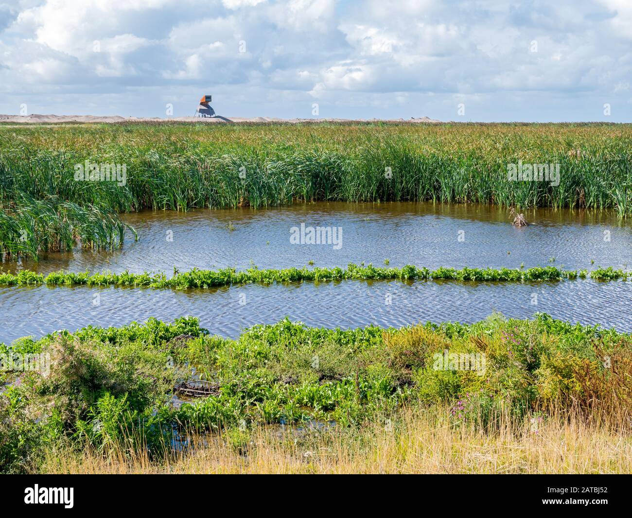 Torre di avvistamento e di una palude su manmade isola artificiale di Wadden marcatore, Markermeer, Paesi Bassi Foto Stock
