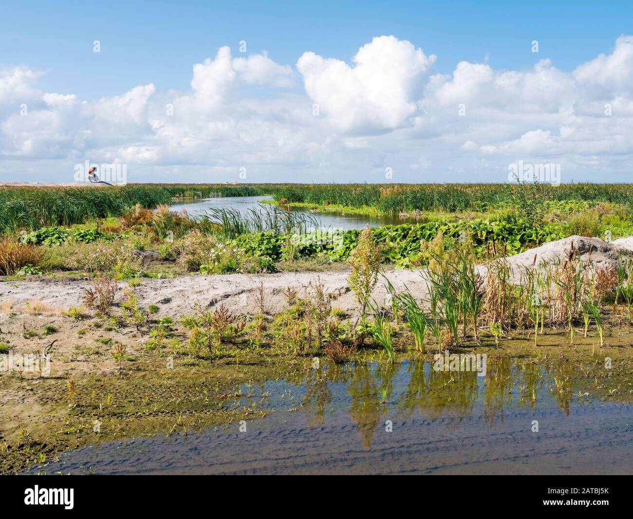 Torre di avvistamento e di una palude su manmade isola artificiale di Wadden marcatore, Markermeer, Paesi Bassi Foto Stock