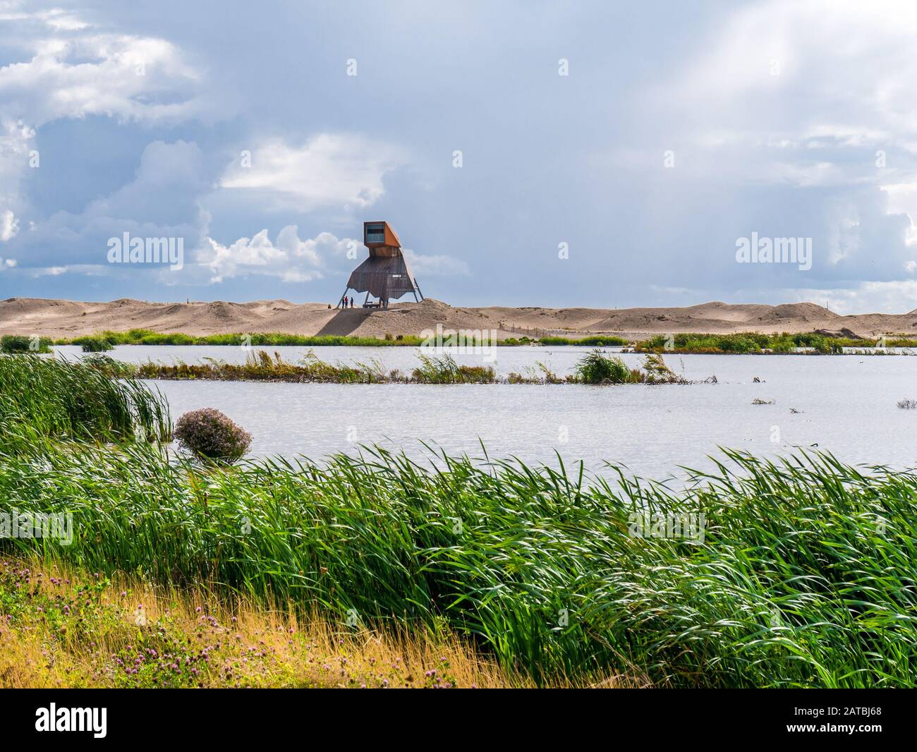 Torre di avvistamento e di una palude su manmade isola artificiale di Wadden marcatore, Markermeer, Paesi Bassi Foto Stock