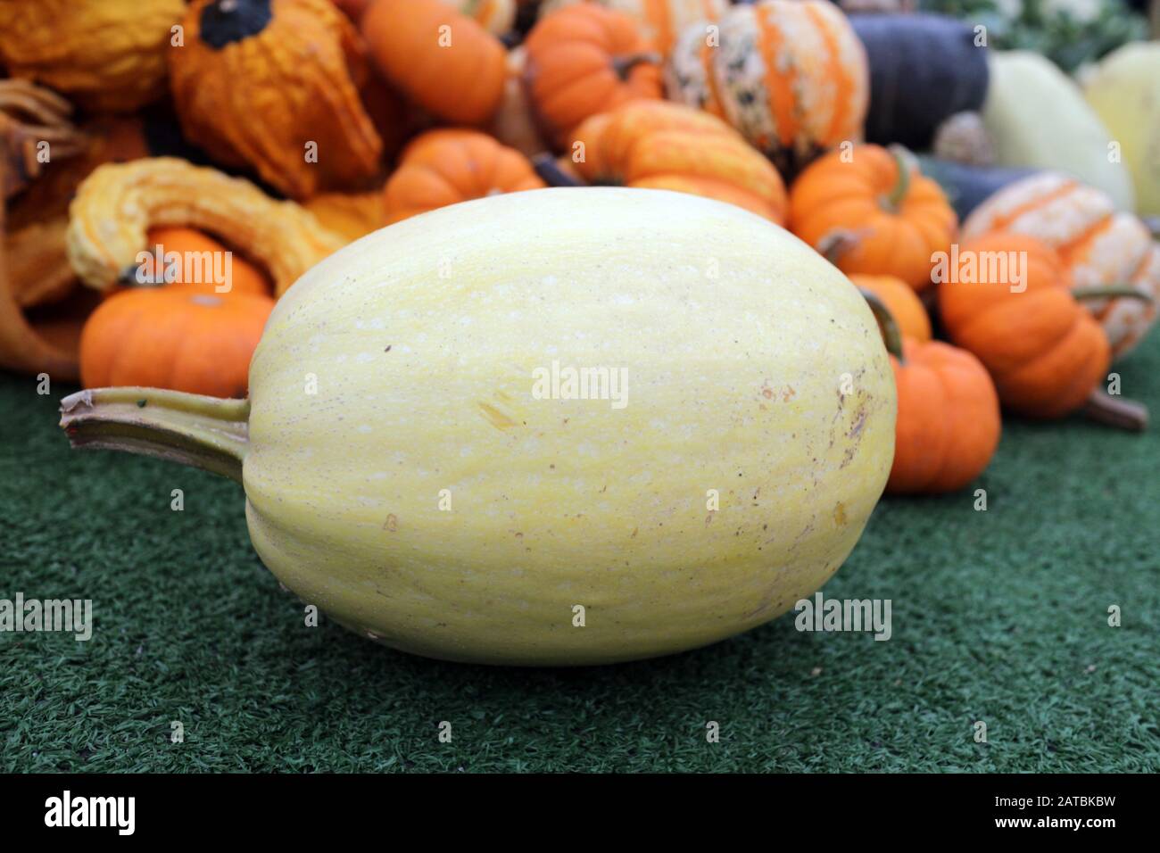 Zucca e zucca al mercato posto in vendita pronto per Halloween vacanza Foto Stock
