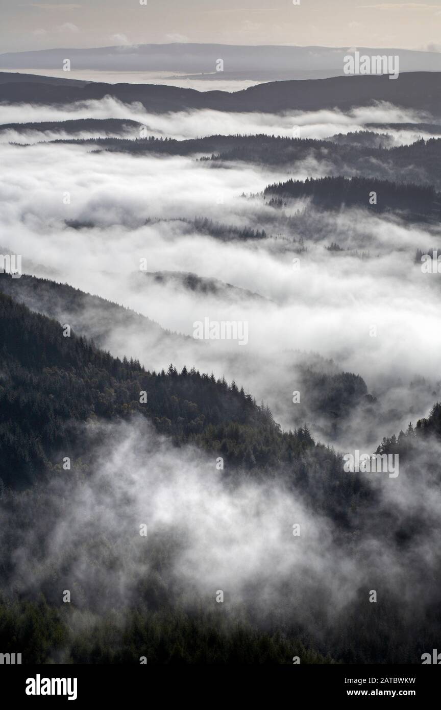 Vista Sulla Foresta Achray, Il Trossachs National Park, Scozia Foto Stock