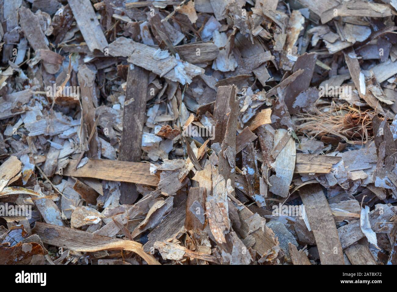 La stretta di alghe marine asciutte crea uno sfondo marrone completo. Alghe sulla spiaggia vicino all'oceano. Ideale per pacciamatura in giardino, fertilizzante per piante. Macro Foto Stock