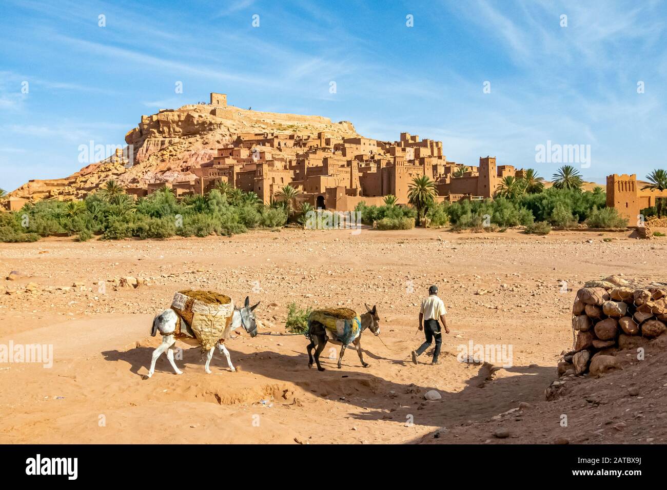 Uomo a piedi con asini a Ksar di Ait ben Haddou. Marocco. Ottobre 2019 Foto Stock