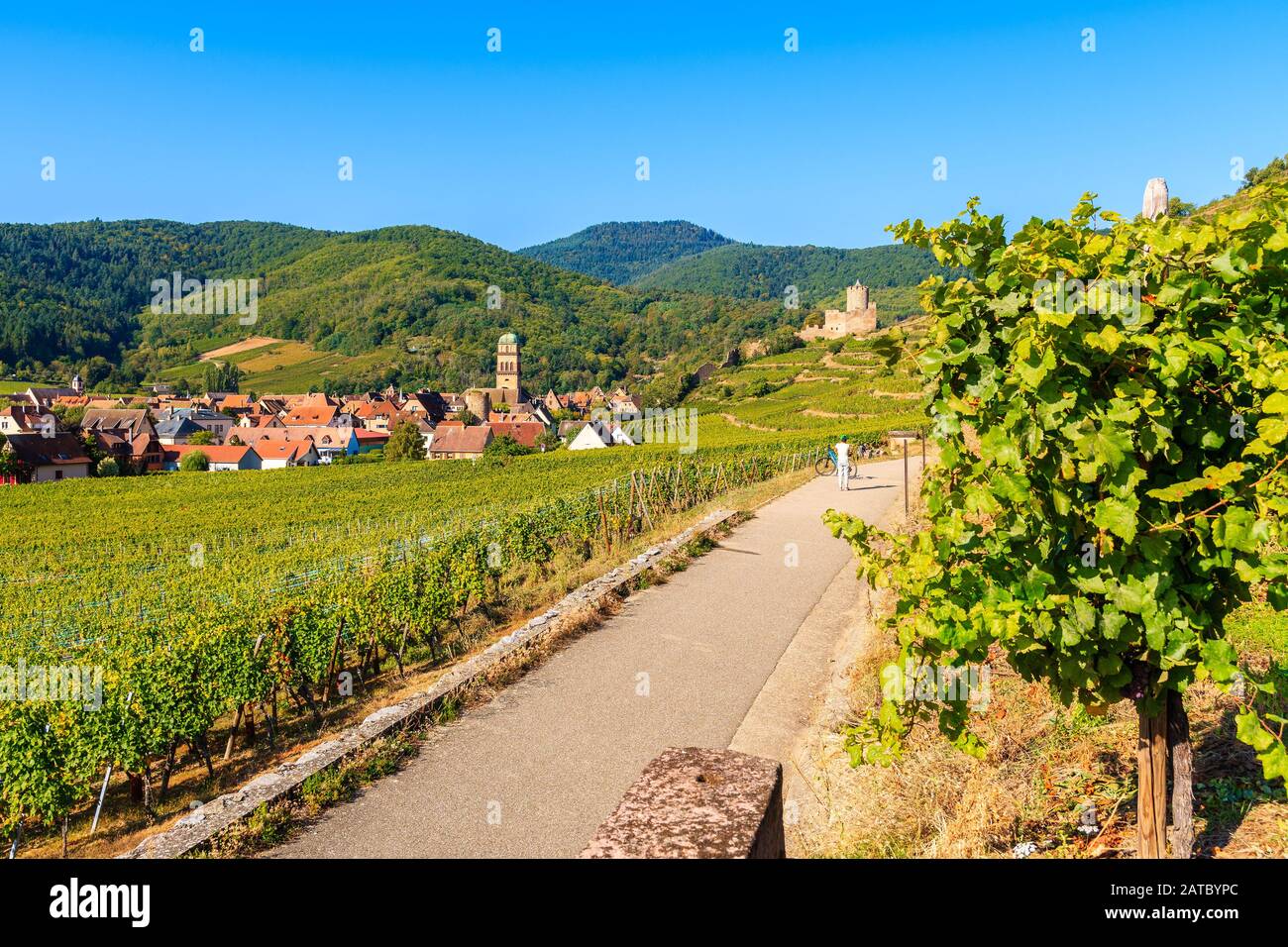 Strada lungo i vigneti a Kaysersberg village, Alsazia strada del vino, Francia Foto Stock