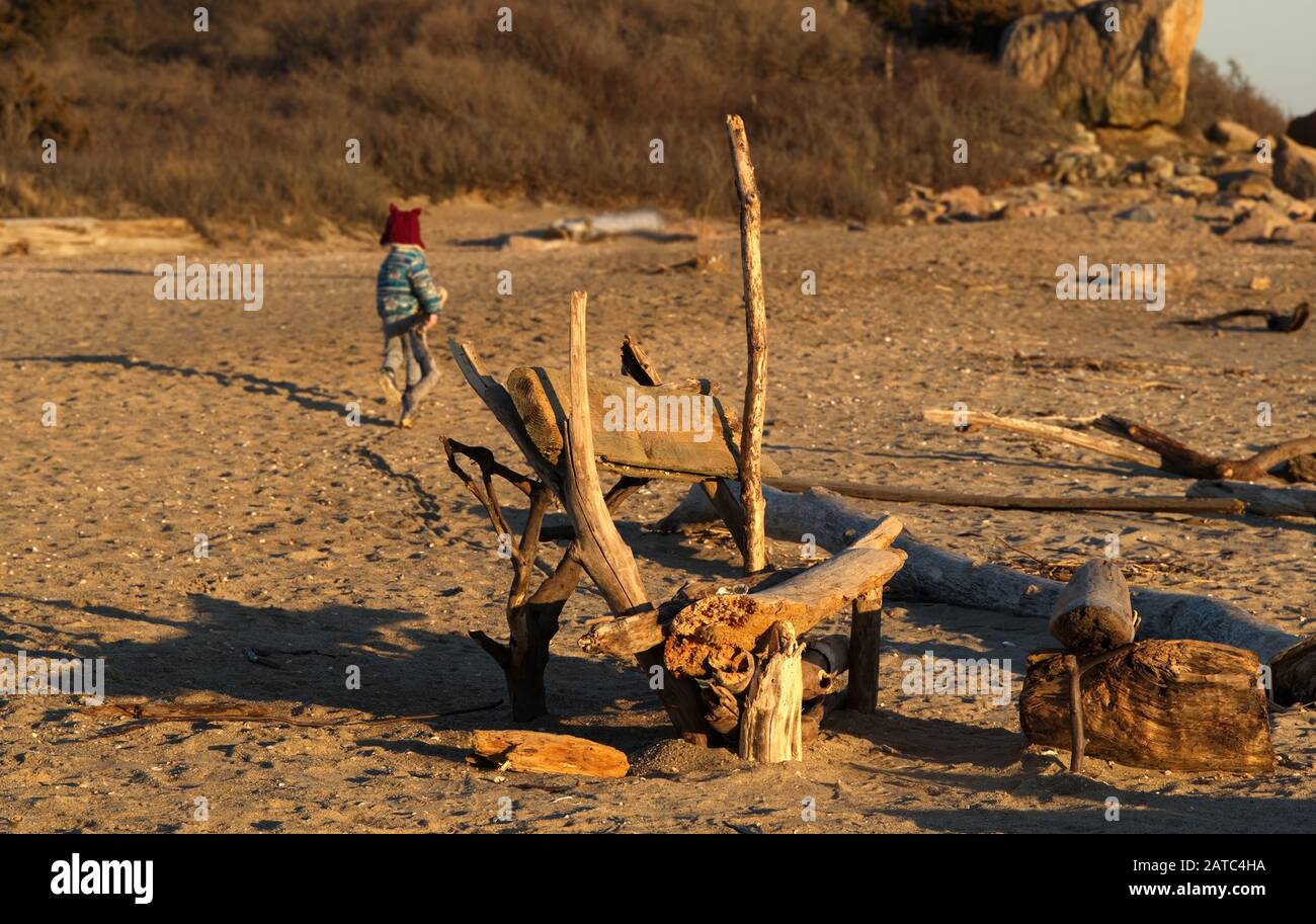 Panca grezza fatta da tronchi lavati e driftwood sulla spiaggia del New England con capretto in background che trascina i pezzi via Foto Stock