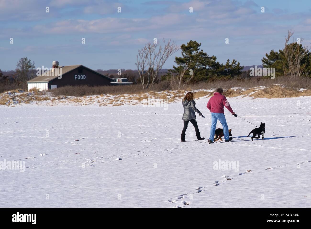 Madison, CT USA. Mar 2019. Una coppia di abiti caldi che camminano i loro cani su una spiaggia coperta di neve del New England. Foto Stock