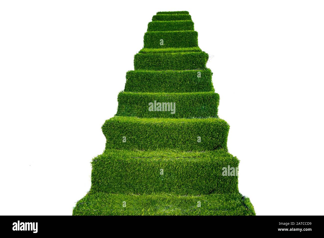 scala verde su sfondo bianco Foto Stock