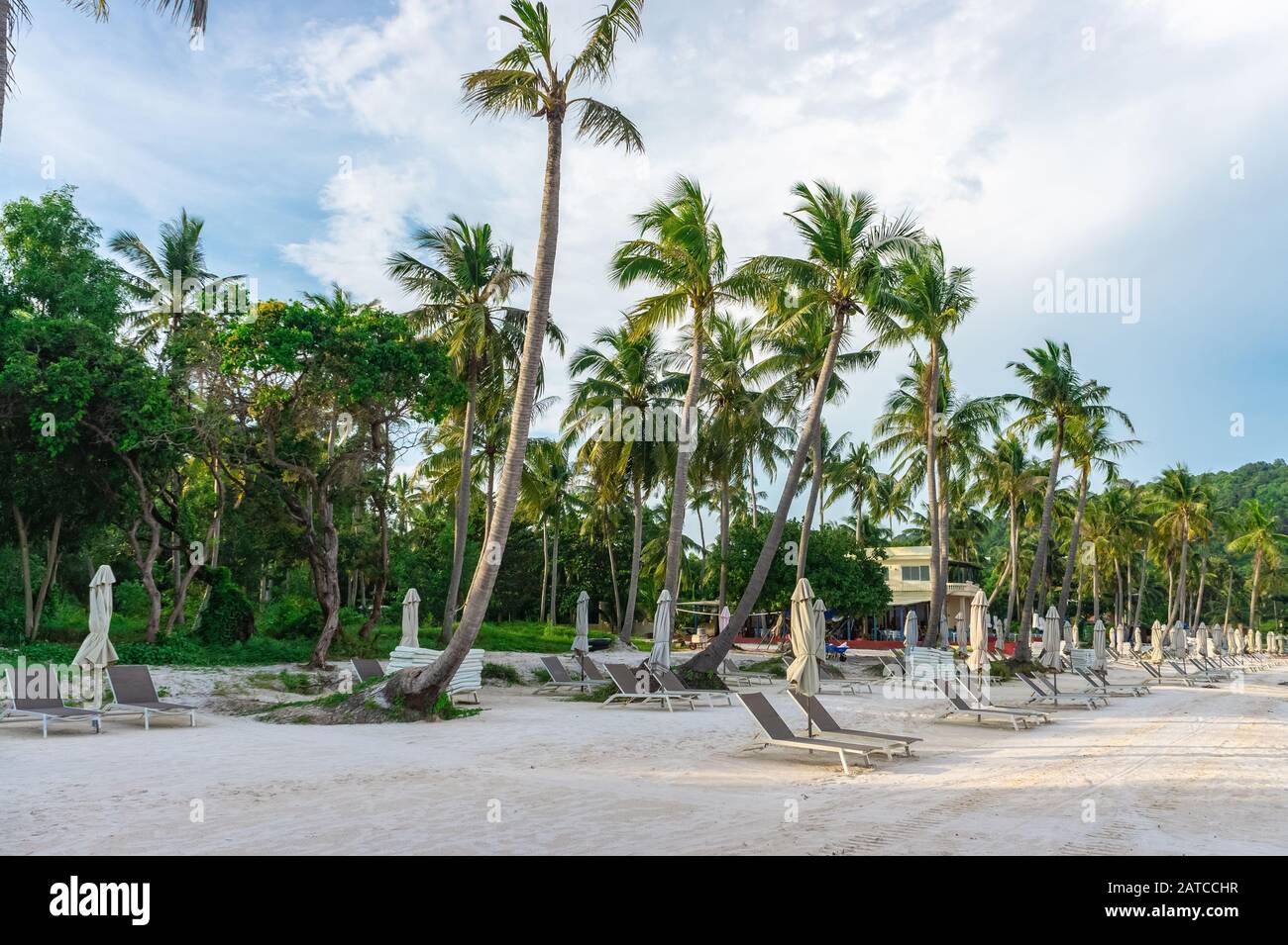 spiaggia solitaria con sedie a sdraio vuote circondate da palme da cocco. Bai sao Beach, Phu Quoc, Vietnam Foto Stock