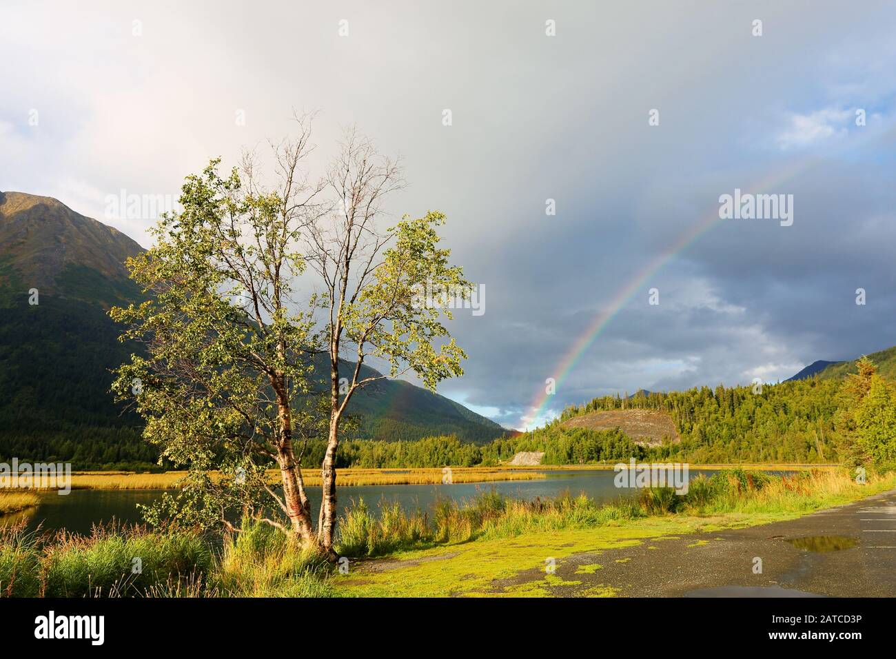 Bella alba al fiume Kenai, Alaska, Stati Uniti. Il fiume Kenai è il fiume più lungo della penisola di Kenai nell'Alaska centro-meridionale Foto Stock