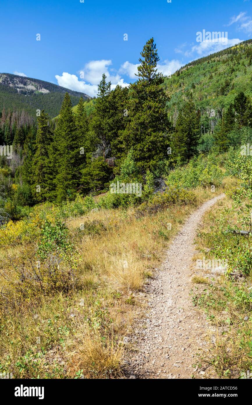 Silver Creek Trail; San Isabel National Forest; Montagne Rocciose; Colorado; Stati Uniti Foto Stock