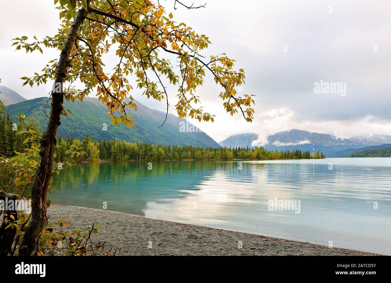 Bella alba al fiume Kenai, Alaska, Stati Uniti. Il fiume Kenai è il fiume più lungo della penisola di Kenai nell'Alaska centro-meridionale Foto Stock