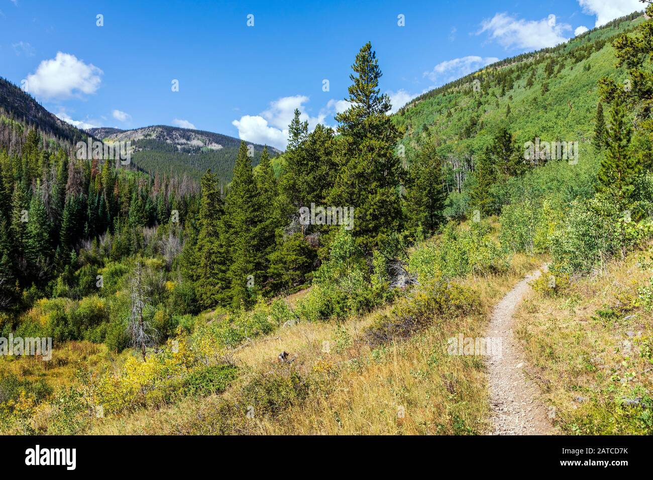 Silver Creek Trail; San Isabel National Forest; Montagne Rocciose; Colorado; Stati Uniti Foto Stock