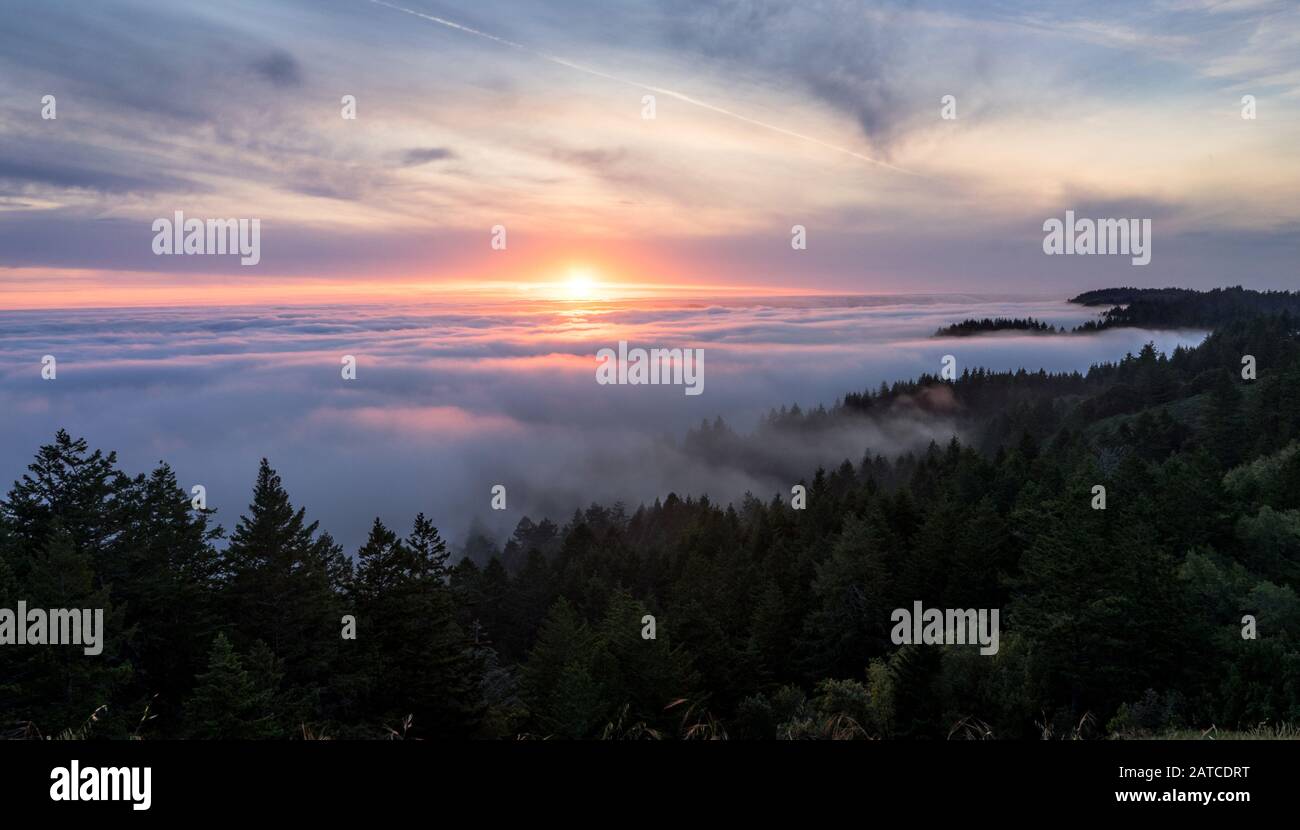 Tramonto Su tappeti e foreste nubi, Mt Tamalpais, Marin County, California, Stati Uniti Foto Stock