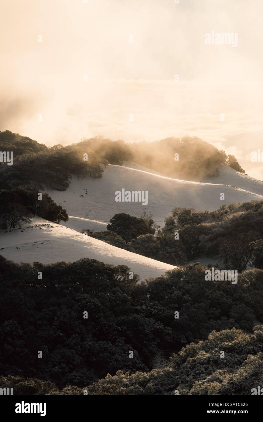 Nebbia Sulle Colline Coperte Di Neve All'Alba, Riserva Regionale Del Territorio Di Morgan, California, Stati Uniti Foto Stock