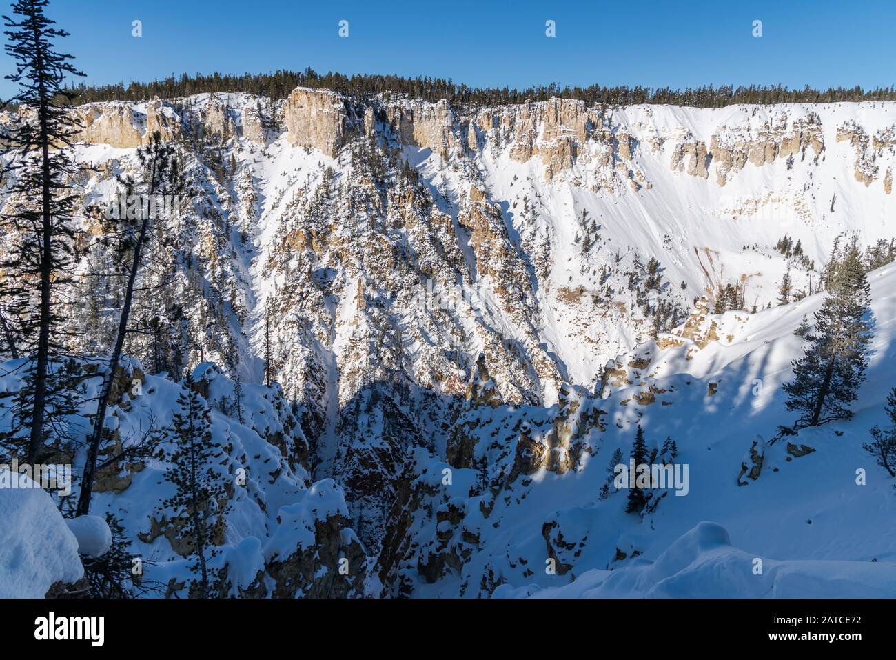 Affioramenti di roccia vulcanica lungo la parete del Grand Canyon di Yellowstone. Il loro colore giallastro diede al Parco Nazionale di Yellowstone il suo nome. Wyoming, Stati Uniti Foto Stock