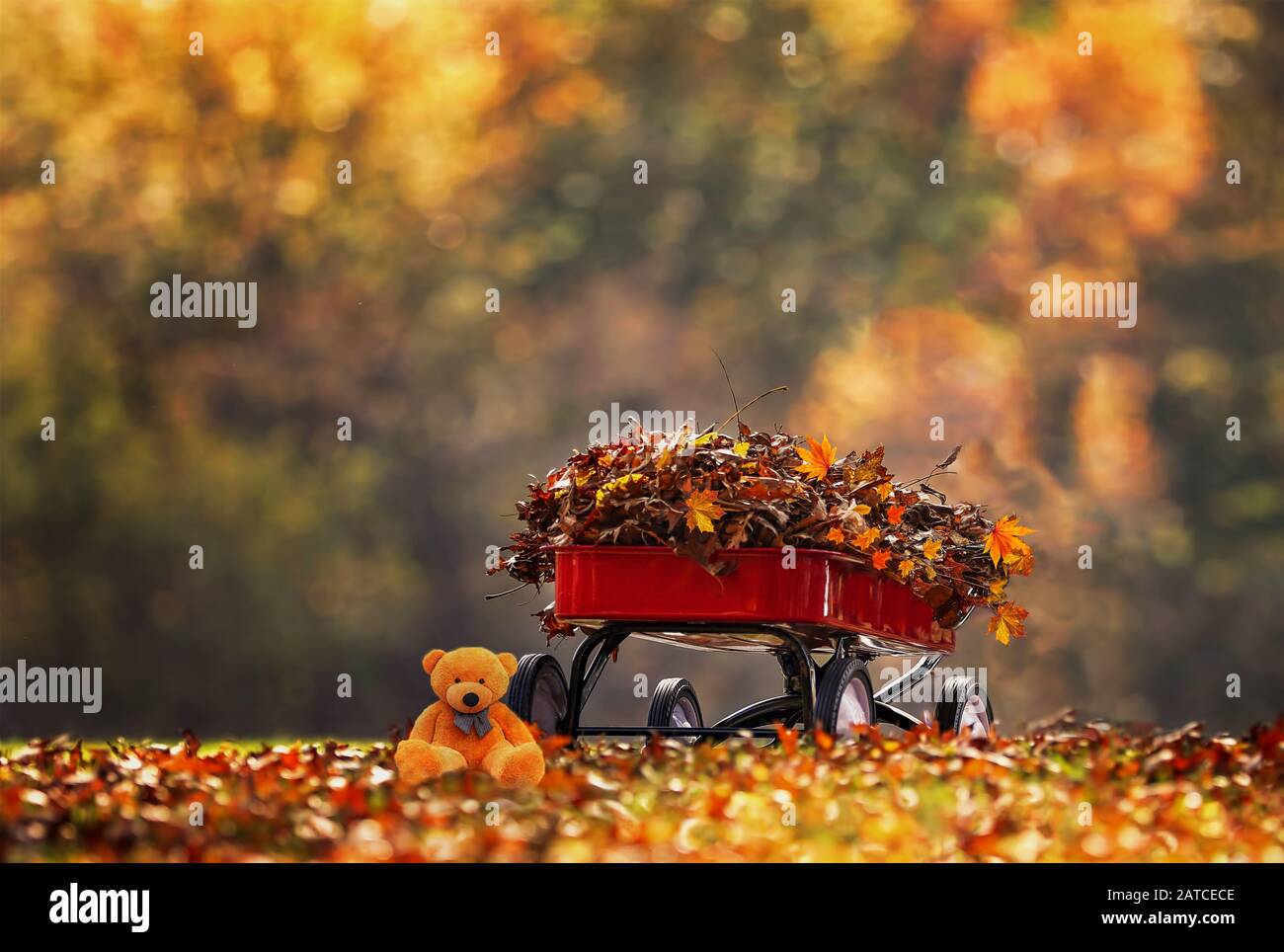 Orsacchiotto accanto a un carrello pieno di foglie d'autunno Foto Stock