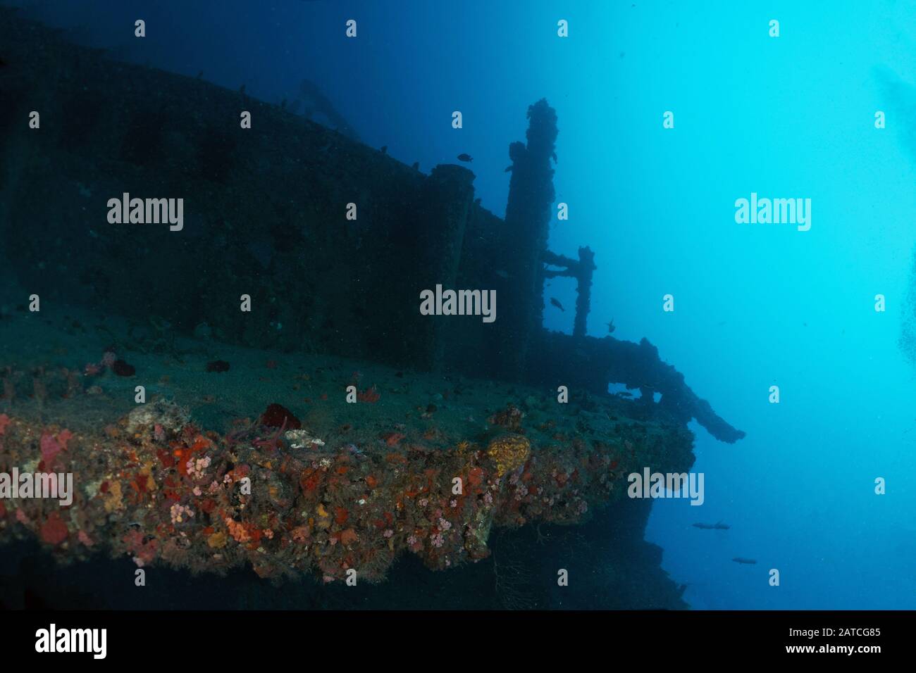 Wreck Subacqueo Foto Stock
