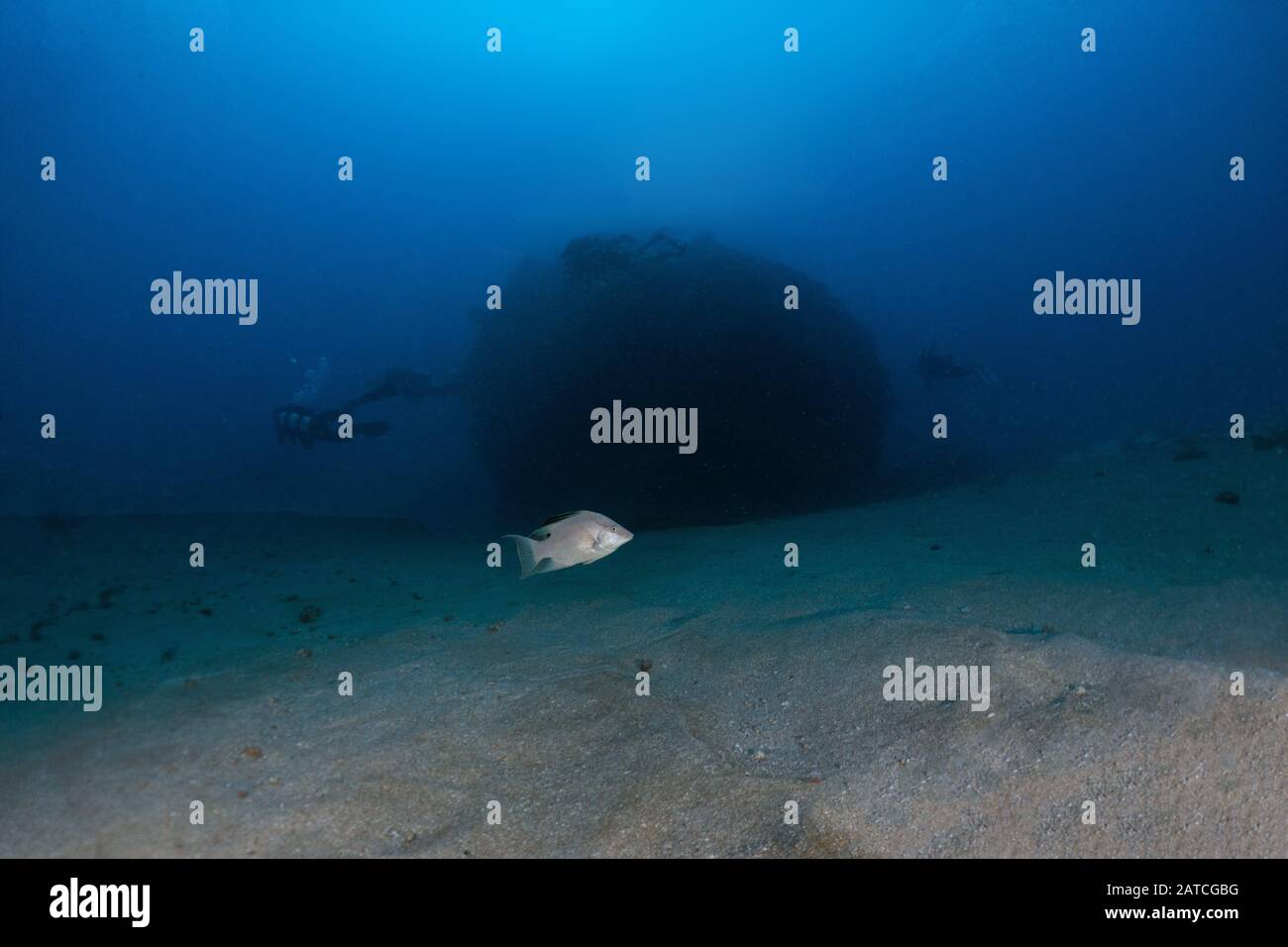 Wreck Subacqueo Foto Stock