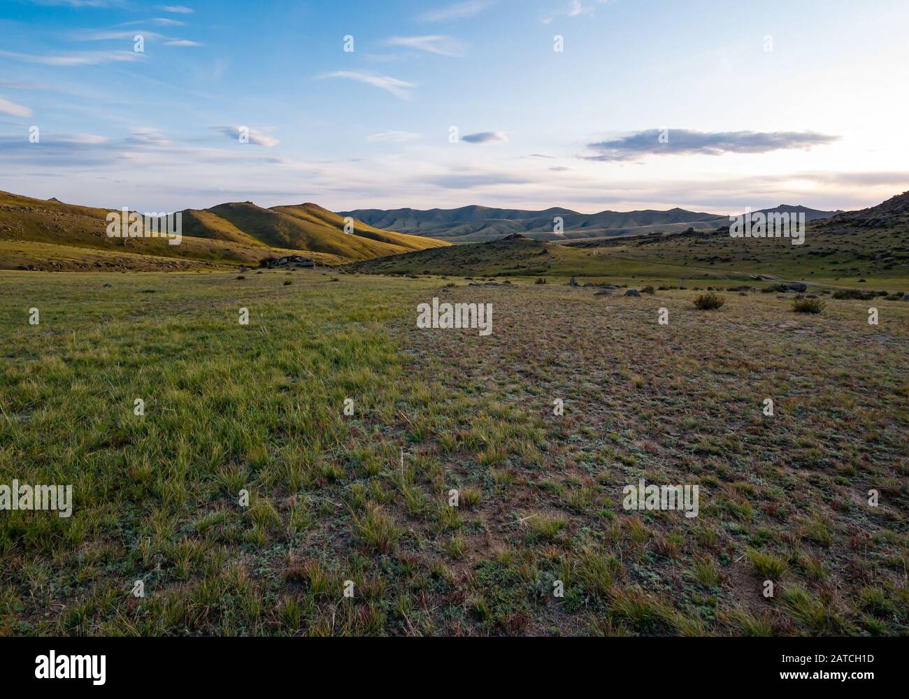 Paesaggio di prateria steppa, riserva naturale del Parco Nazionale di Hustai o Khustain Nuruu, provincia di Tov, Mongolia, Asia Foto Stock