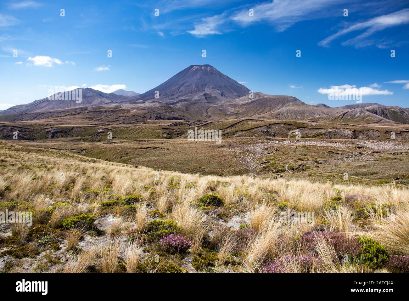 Vista panoramica sul Monte Doom (Monte Ngauruhoe) sul terreno di desolazione dell'erba in Tongariro Nation Park, Nuova Zelanda, Isola del Nord Foto Stock