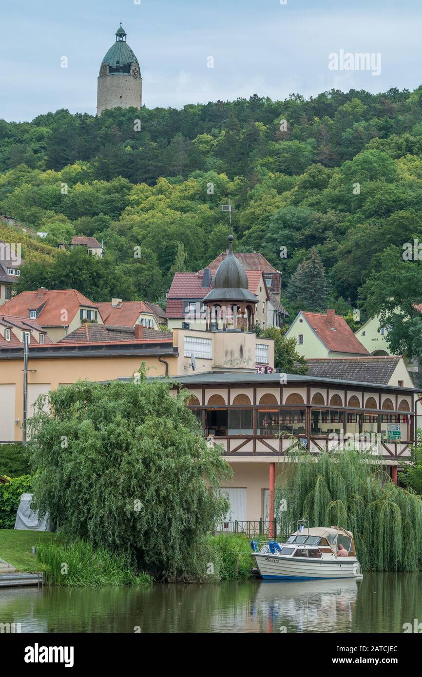 Vigneti a Freyburg an der Unstrut, Sassonia-Anhalt, Germania Foto Stock