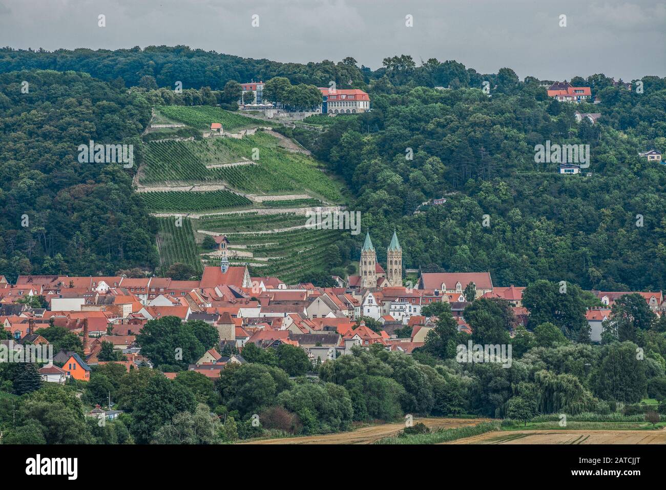 Freyburg an der Unstrut, Sassonia-Anhalt, Germania Foto Stock